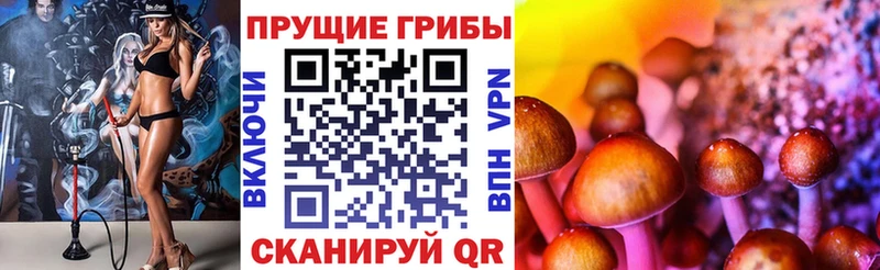Псилоцибиновые грибы Psilocybe наркотики Судак