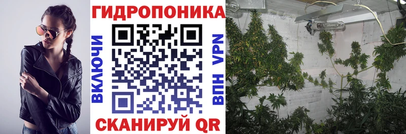 Канабис SATIVA & INDICA  наркотики  Судак 